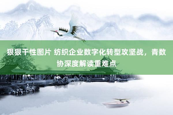狠狠干性图片 纺织企业数字化转型攻坚战，青数协深度解读重难点
