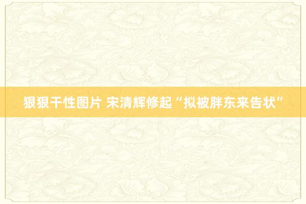 狠狠干性图片 宋清辉修起“拟被胖东来告状”