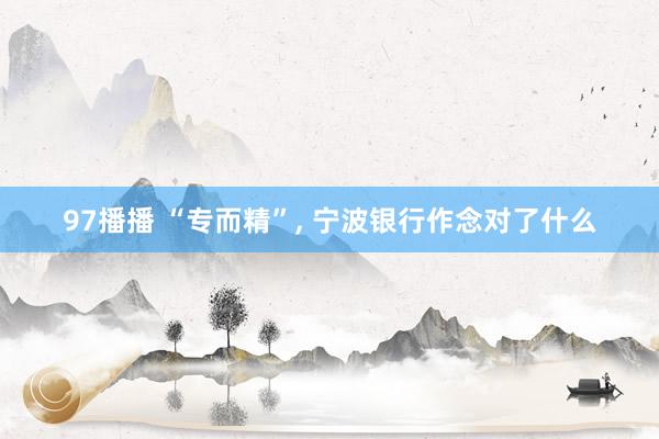 97播播 “专而精”， 宁波银行作念对了什么