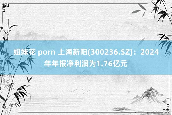 姐妹花 porn 上海新阳(300236.SZ)：2024年年报净利润为1.76亿元