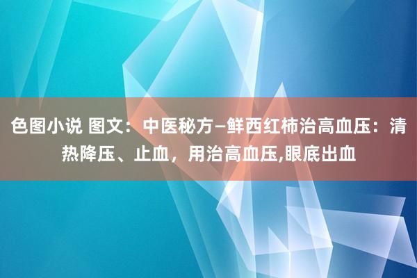 色图小说 图文：中医秘方—鲜西红柿治高血压：清热降压、止血，用治高血压，眼底出血