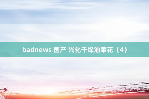 badnews 国产 兴化千垛油菜花（4）