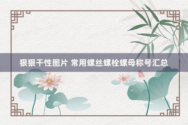 狠狠干性图片 常用螺丝螺栓螺母称号汇总