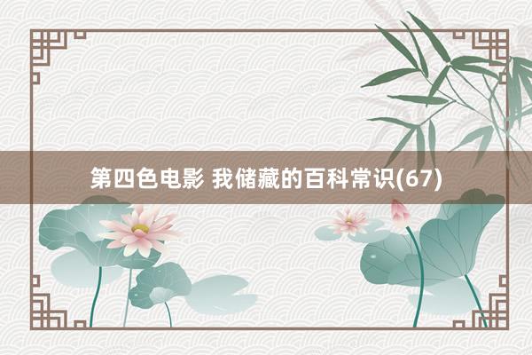 第四色电影 我储藏的百科常识(67)