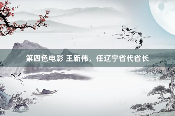 第四色电影 王新伟，任辽宁省代省长
